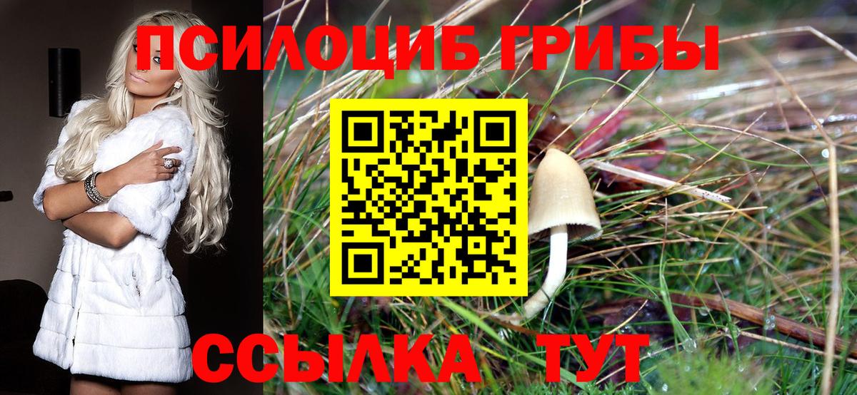 Псилоцибиновые грибы GOLDEN TEACHER  Вход с VPN  Зерноград 