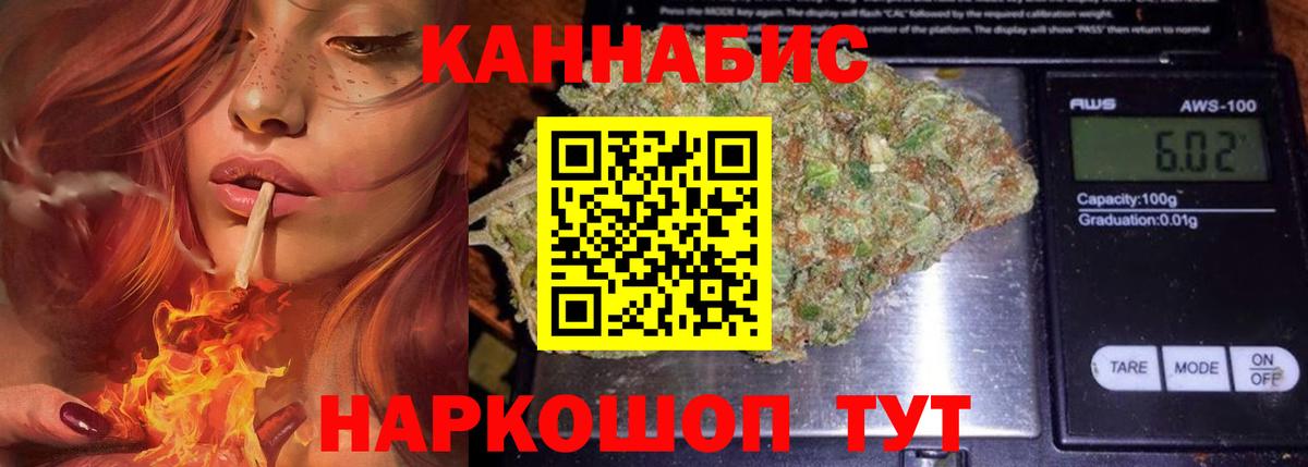 Канабис план Зерноград